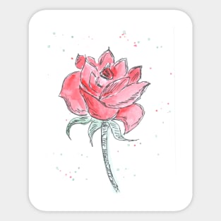 Red beautiful flower rose, plant, nature. Watercolor, art decoration, sketch. Illustration hand drawn modern painting Sticker